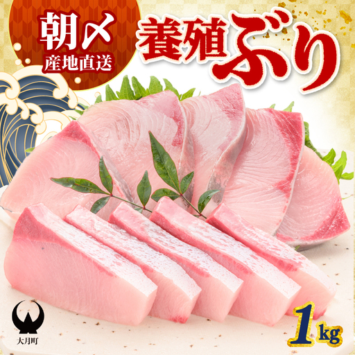 ぶり 1kg 養殖 冷蔵ぶり