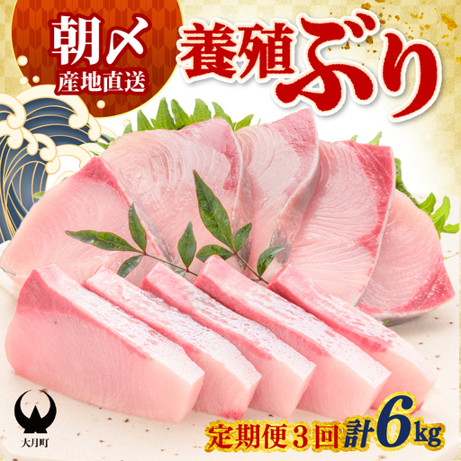 [定期便]ぶり 2kg × 3回 養殖 冷蔵ぶり
