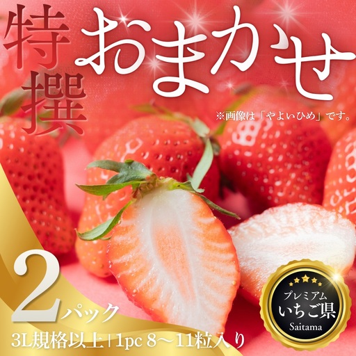 埼玉県吉見町 吉見いちご【特撰】品種おまかせ 3L規格以上・2パック｜産地直送