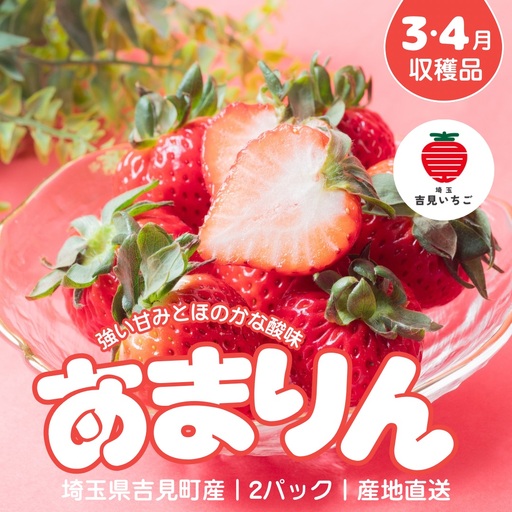 [3〜4月収穫分]埼玉県吉見町 吉見いちご[あまりん]2パック|ブランドいちご 産地直送
