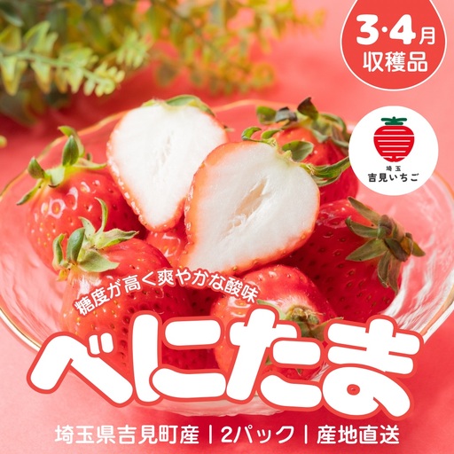 [3〜4月収穫分]埼玉県吉見町 吉見いちご[べにたま]2パック|ブランドいちご 産地直送