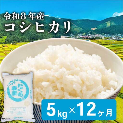 令和8年産 新米 こしひかり 5kg 12回定期便 新米