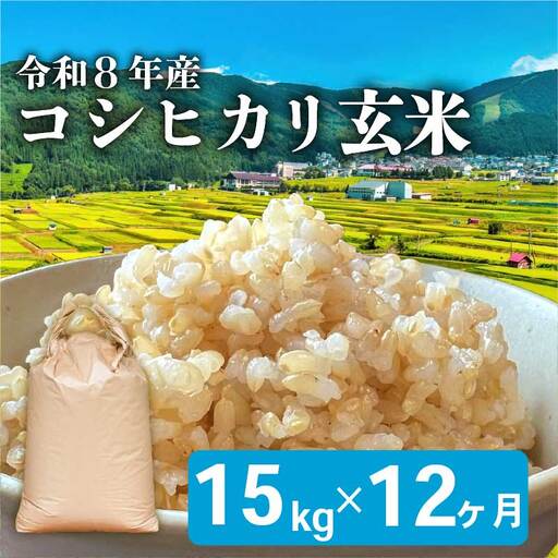 令和8年産 玄米 こしひかり 15kg 12回定期便 玄米