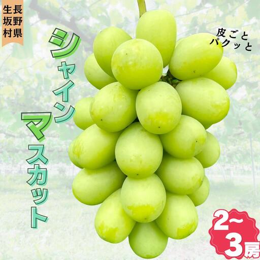 gems.grape　シャインマスカット　約1.0kg以上　2~3房| シャインマスカット