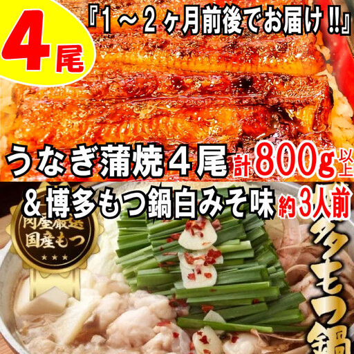 BD017.うなぎの蒲焼４尾＆博多もつ鍋白みそ味（３人前）【スタミナ満点セット】【もつ鍋・味噌味】