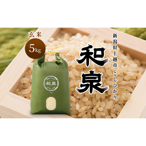 先行予約 玄米 令和8年 新潟県 上越産 こしひかり 5kg 5キロ 和泉 ワイズファーム 上越市  米 ギフト 喜ばれる コシヒカリ