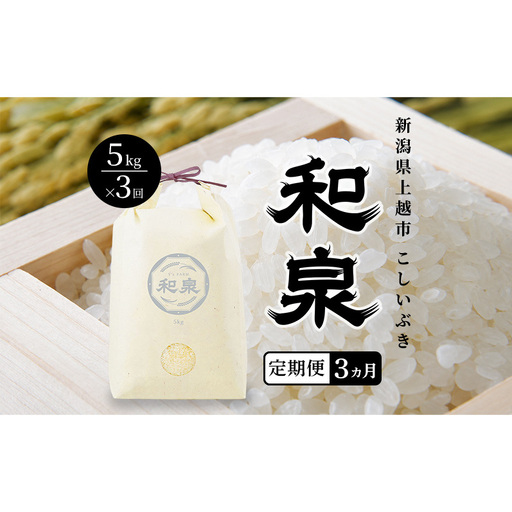 先行予約 新米 定期便3ヶ月配送 令和8年 新潟県 上越産 こしいぶき 5kg 5キロ×3回 和泉 ワイズファーム 上越市 精米 米 ギフト 喜ばれる
