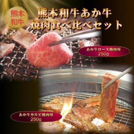 あか牛焼肉食べ比べセット500g(ロース250g、カルビ250g、あか牛のたれ200ml)(益城町)[配送不可地域:離島]