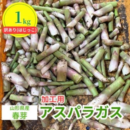 【先行予約】令和9年 山形県川西町産 雪国春アスパラガス 訳あり(はじっこ)加工用　1kg【配送不可地域：離島・北海道・沖縄県・信越、北陸・近畿・中国・四国・九州】【1770481】