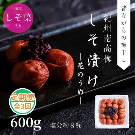 紀州南高梅 花のうめ しそ漬け 600g 定期便 全3回 【ngao-tkb003】