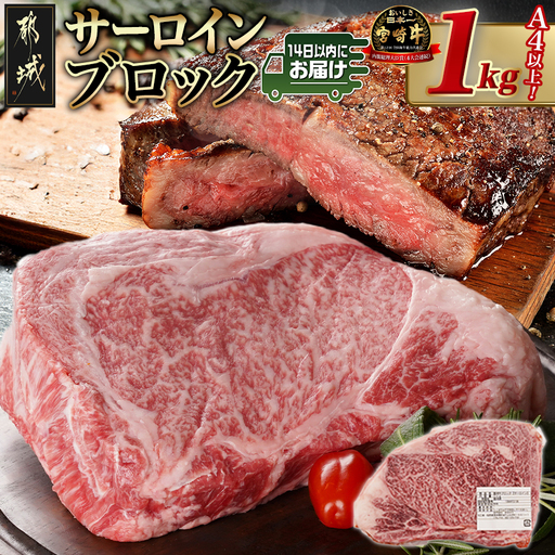 宮崎牛サーロインブロック(1kg)≪みやこんじょ快速便≫〔38-N401-R〕_(都城市) 国産牛肉 ブロック肉 牛ブロック 塊肉 宮崎牛ステーキ 国産牛ステーキ 冷凍