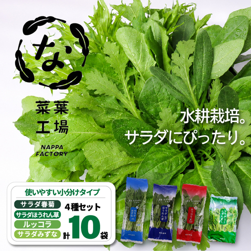 [先行予約] 4種セット 春菊 みずな ほうれん草 ルッコラ (2026年11月〜発送) | 水菜 水耕 葉物 野菜 南国市