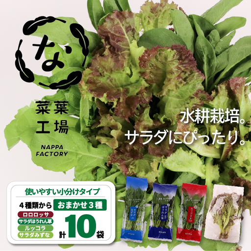 おまかせ3種セット ロロロッサ ルッコラ ほうれん草 みずな サラダ | 水耕 葉物 野菜 南国市