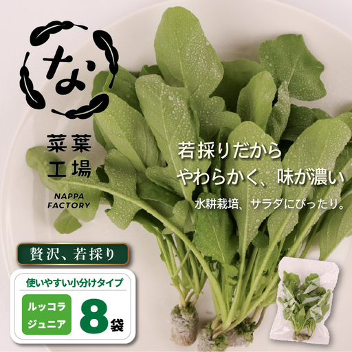 若採り ルッコラ ジュニア | サラダ 水耕 葉物 野菜 南国市