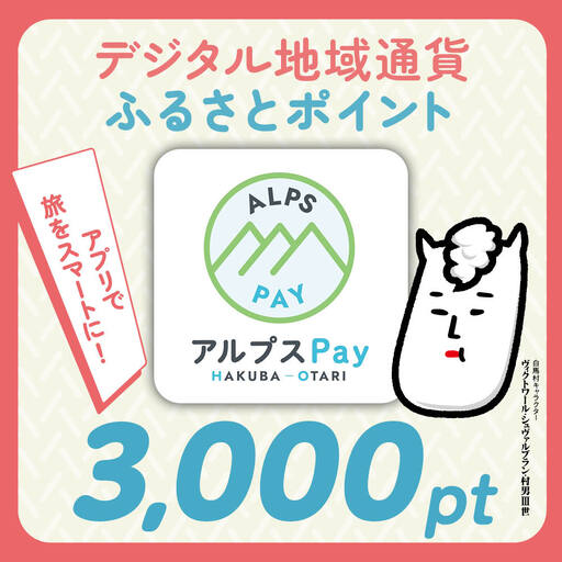 白馬村・小谷村共通地域ポイント「アルプスPayふるさとポイント」3,000pt(3.000円分)