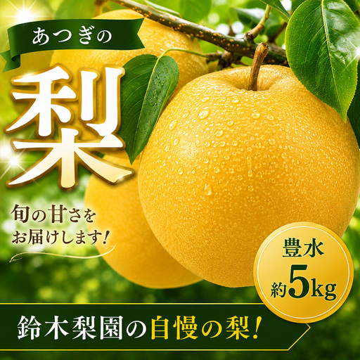 梨 豊水 5kg 2026年産 あつぎの梨