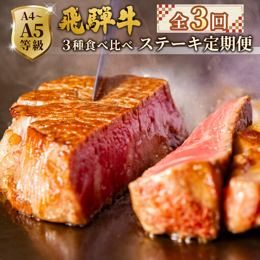 全3回 飛騨牛 ステーキ定期便 A5 A4 ステーキソース付き リブロースステーキ ももステーキ サーロインステーキ リブロース モモ サーロイン ステーキ 牛 冷凍 和牛 牛肉 にく お肉 肉 飛騨 霜降り 赤身 肉のひぐち