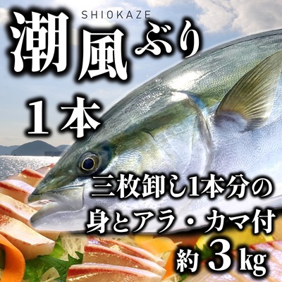 うすき産潮風ぶり・1本・三枚卸(約3kg弱)