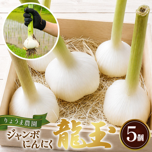 ジャンボニンニク「龍玉」無臭にんにく / にんにく ガーリック 龍玉 大粒にんにく 食べ応え にんにく料理 ホイル焼き ガーリックステーキ 丸ごとにんにく ごろっとにんにく 国産 産地直送 兵庫県 No.562