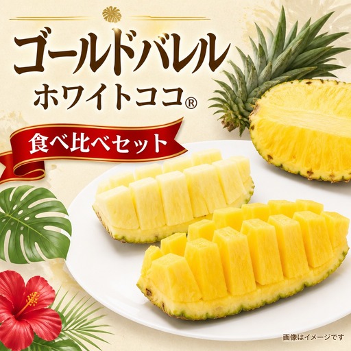パイナップル ゴールドバレル ホワイトココ 詰合せ ぬうは農園
