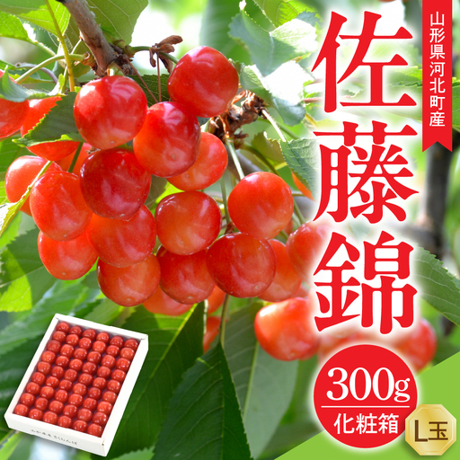 令和9年産 さくらんぼ 佐藤錦 特秀品 300g さくらんぼ