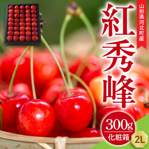 令和9年産 さくらんぼ 紅秀峰 特秀品 300g さくらんぼ