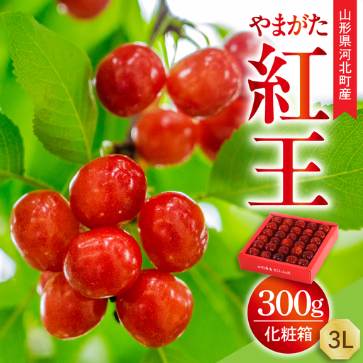 令和9年産 さくらんぼ やまがた紅王 300g 3L玉 特秀品 さくらんぼ