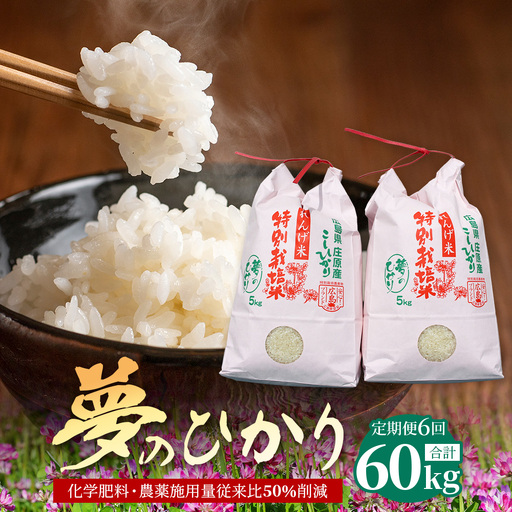 定期便 6回配送 新米 予約受付 令和8年産 れんげ米「夢のひかり」10kg×6回 合計60kg 精米 こしひかり コシヒカリ お試し 広島 庄原 6ヶ月 6か月 6ヵ月
