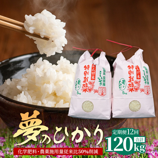 定期便 12回配送 新米 予約受付 令和8年産 れんげ米「夢のひかり」10kg×12回 合計120kg 精米 こしひかり コシヒカリ お試し 広島 庄原 12ヶ月 12か月 12ヵ月