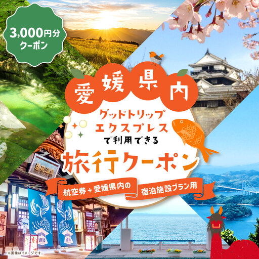 愛媛県内に泊まるふるさと納税旅行クーポン 3,000円分 旅行クーポン 旅行券 クーポン 券 旅行 観光 国内旅行 家族旅行 ひとり旅 愛媛県旅行 宿泊 カップル 夫婦 親子 家族 ファミリー ( 1129 )