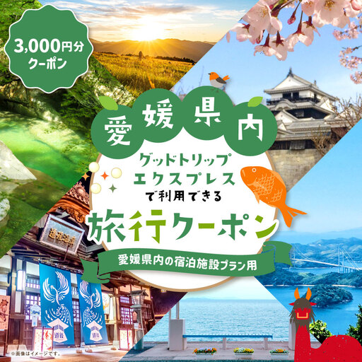 愛媛県内の宿泊施設に泊まるふるさと納税旅行クーポン 3,000円分 旅行クーポン 旅行券 クーポン 券 旅行 観光 国内旅行 家族旅行 ひとり旅 愛媛県旅行 宿泊 カップル 夫婦 親子 家族 ファミリー ( 1134 )