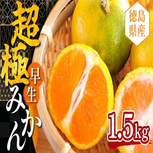[ 先行予約 ] ミカン 1.5kg 超極早生みかん [ 柑橘 ]