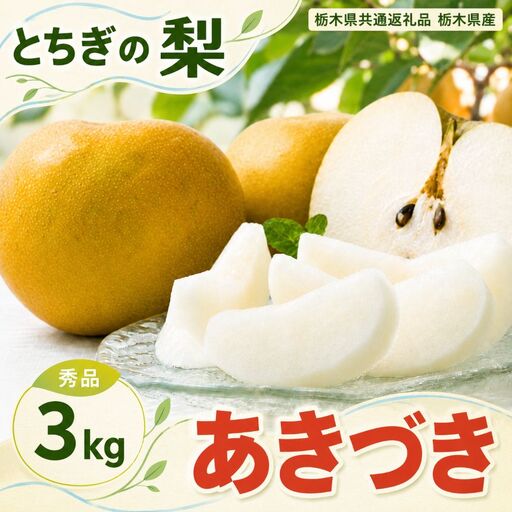 梨 あきづき 秀品 3kg [栃木県共通返礼品]栃木県産