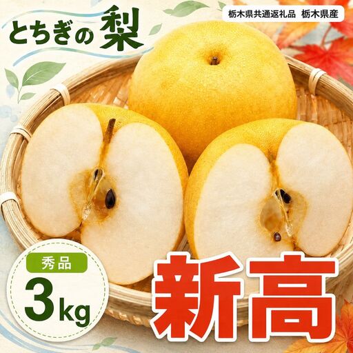 梨 新高 秀品 3kg [栃木県共通返礼品]栃木県産