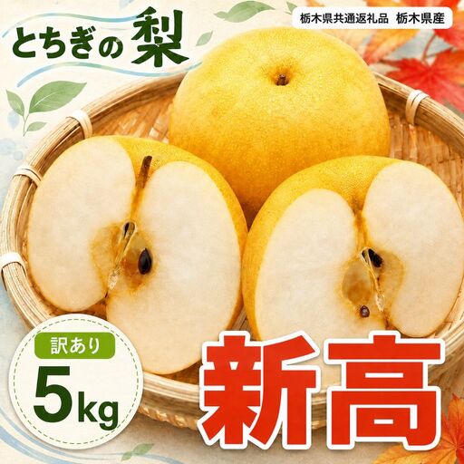 梨 新高 訳あり品 5kg [栃木県共通返礼品]栃木県産