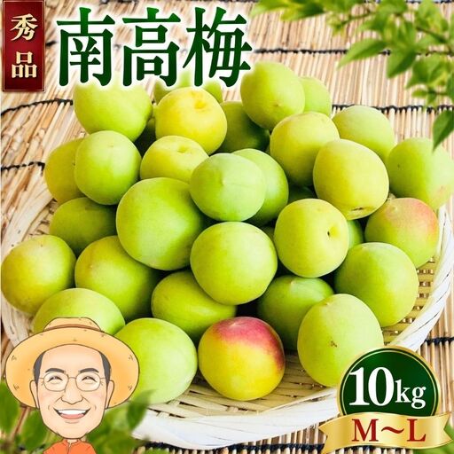 【秀品】南高梅 青梅 約10kg (＋保証100g) M～L カキエモン農園【BX-kkem038】