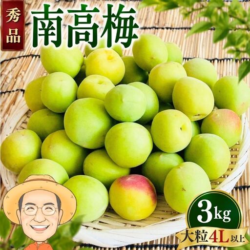 [秀品]南高梅 青梅 約3kg (+保証100g) 大粒(4L以上) カキエモン農園[BX-kkem039]
