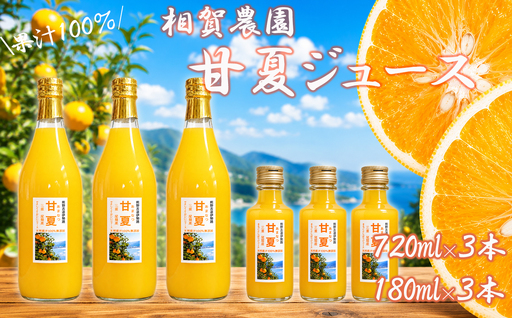 【お試しセット】果汁100％ 甘夏ジュース720ml×3本 180ml×3本 計6本セット 甘夏 蜜柑 果物 柑橘 フルーツ シュース 国産 ギフト 贈り物 三重県 尾鷲市　AI-10