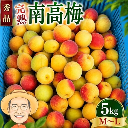 [秀品]完熟 南高梅 約5kg (+保証100g) M〜L カキエモン農園[BX-kkem043]