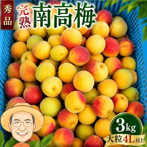 [秀品]完熟 南高梅 約3kg (+保証100g) 大粒(4L以上) カキエモン農園[BX-kkem045]