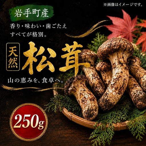 【先行予約】松茸 250g 岩手町産 天然 松茸