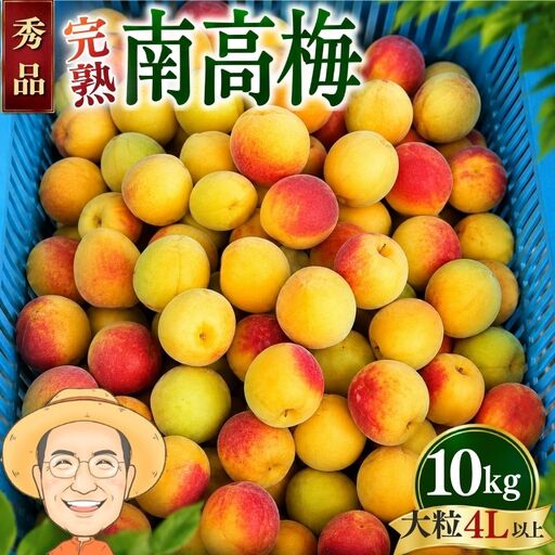 【秀品】完熟 南高梅 約10kg (＋保証100g) 大粒(4L以上) カキエモン農園 【BX-kkem047】