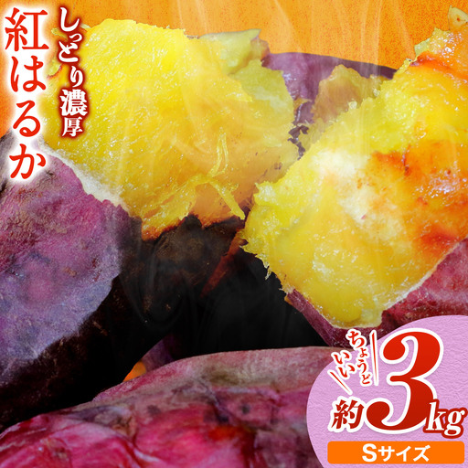 [先行予約]タカハマ観光農園 の 紅はるか 約3kg Sサイズ