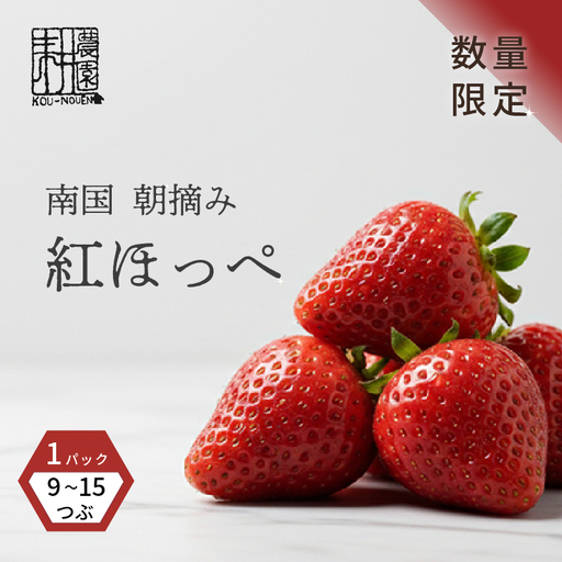 先行予約 いちご 苺 紅ほっぺ 贈答品 1パック:9〜15粒 (2027年1月発送開始) | 厳選 贈り物 ギフト お取り寄せ 苺 いちご 大粒 南国市