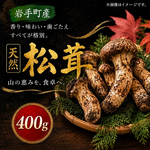 [先行予約]まつたけ 400g 岩手町産 天然 まつたけ