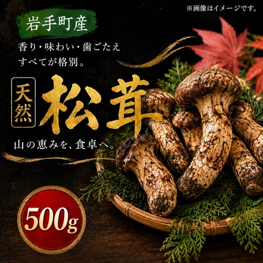 【先行予約】松茸 500g 岩手町産 天然 松茸