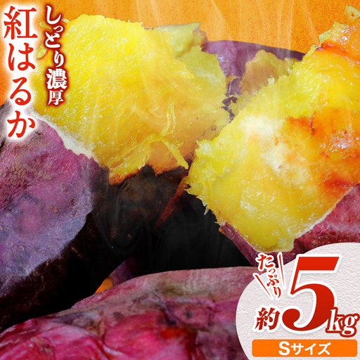 【先行予約】タカハマ観光農園 の 紅はるか 約5kg Sサイズ