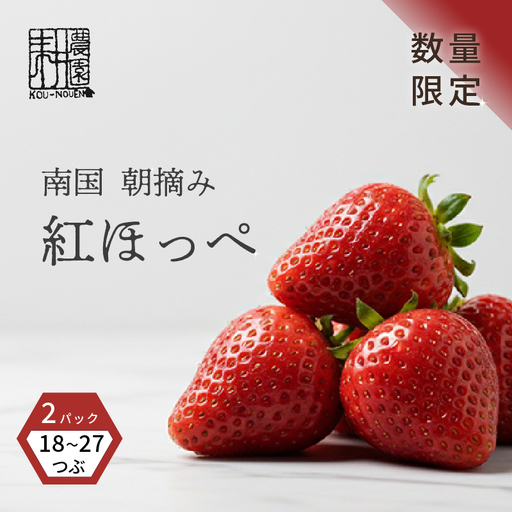 先行予約 いちご 苺 紅ほっぺ 贈答品 2パック:18〜27粒 (2027年1月発送開始) | 厳選 贈り物 ギフト お取り寄せ 苺 いちご 大粒 南国市