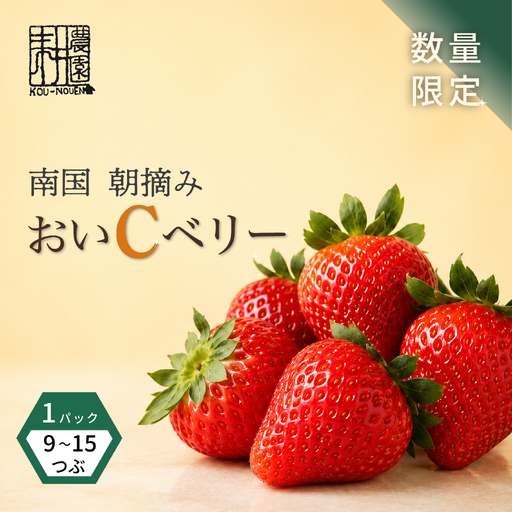 先行予約 いちご 苺 おいCベリー 贈答品 1パック:9〜15粒 (2027年1月発送開始) | 厳選 贈り物 ギフト お取り寄せ 苺 いちご 大粒 南国市