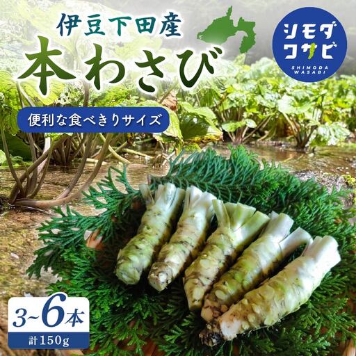 わさび 伊豆 下田 本わさび ワサビ 食べきりサイズ 計150g